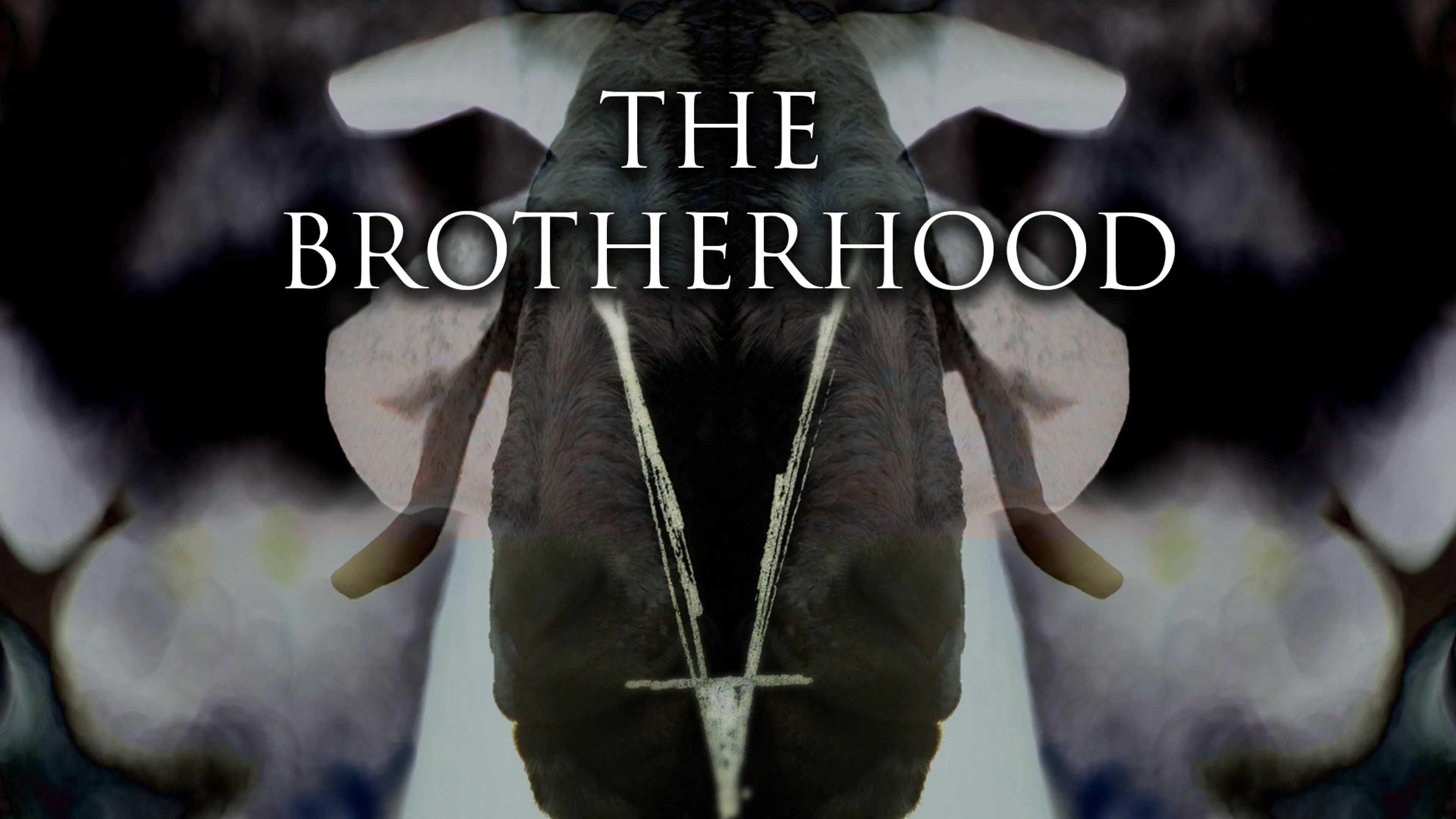 The Brotherhood poster